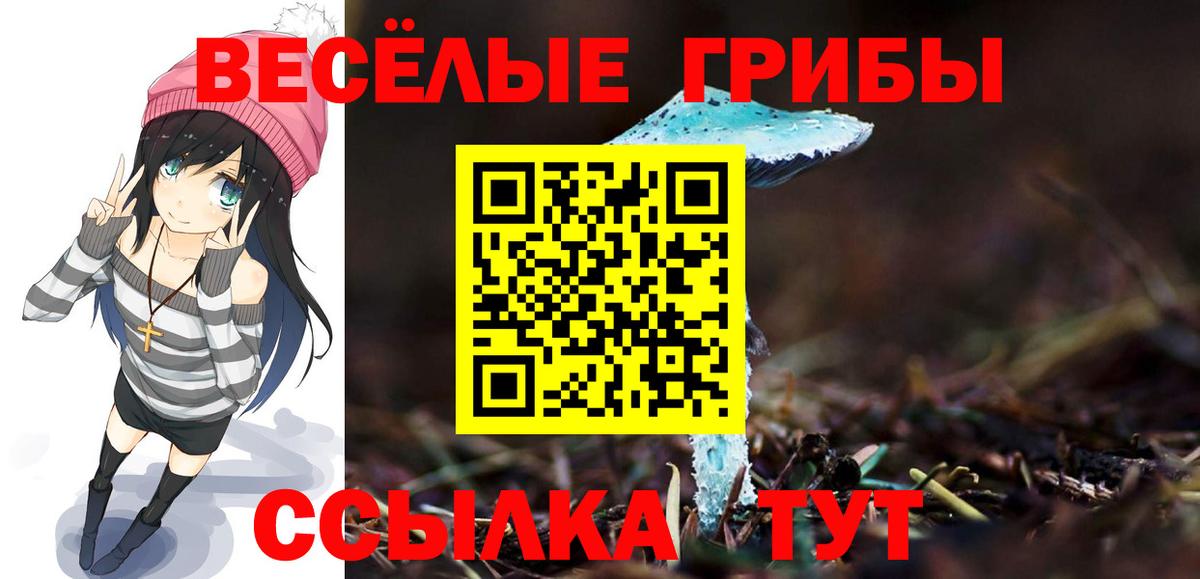 Псилоцибиновые грибы Cubensis Жигулёвск
