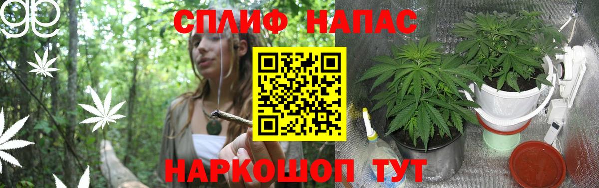 Канабис LSD WEED  Бошки Шишки White Widow  Вход с VPN  Жигулёвск  Марихуана тримм  Шишки марихуана планчик 